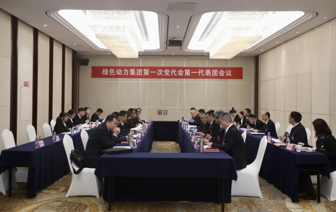 铭刻使命再出发，，，代表热议“两委”报告