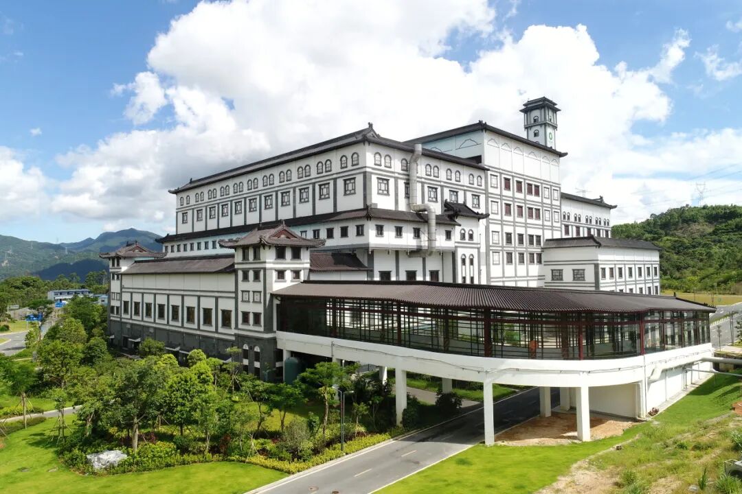 稳中求进，，，，，笃行致远，，，，，W66最给力的老牌娱乐宣布2025年上半年效果单